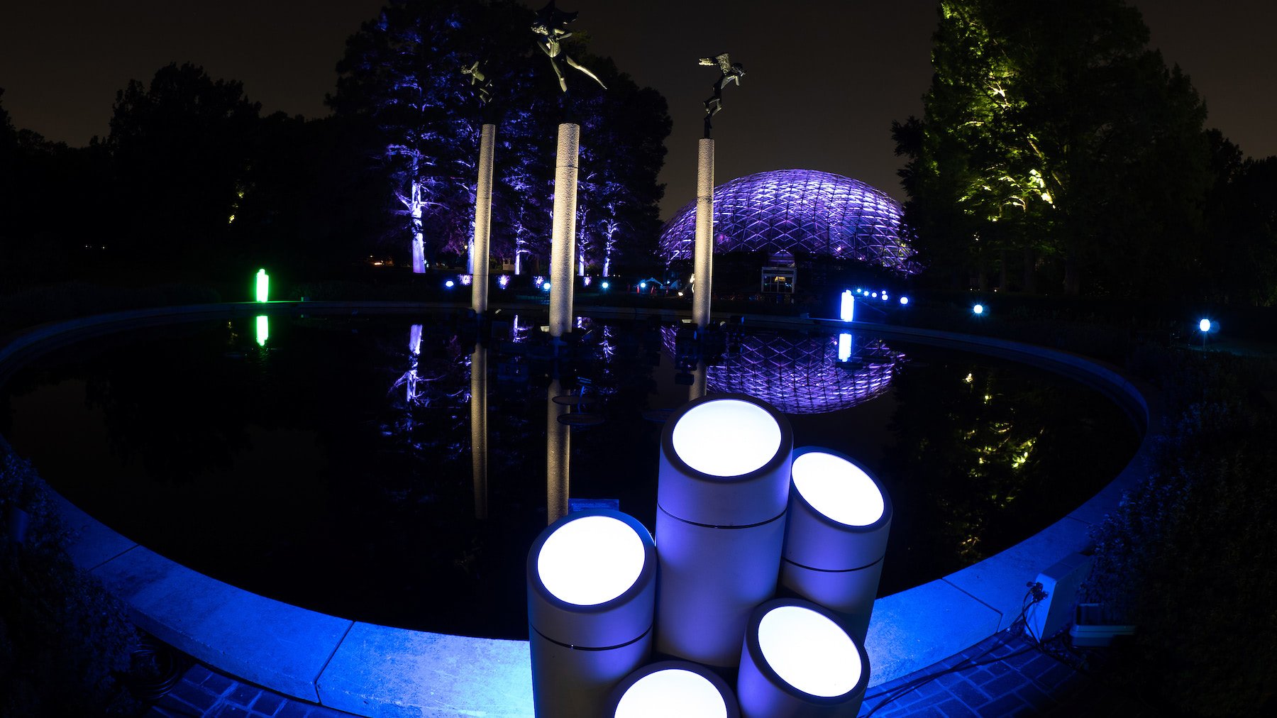 Flora Borealis is a light projection installation at Missouri Botanical Garden. | AVI Systems